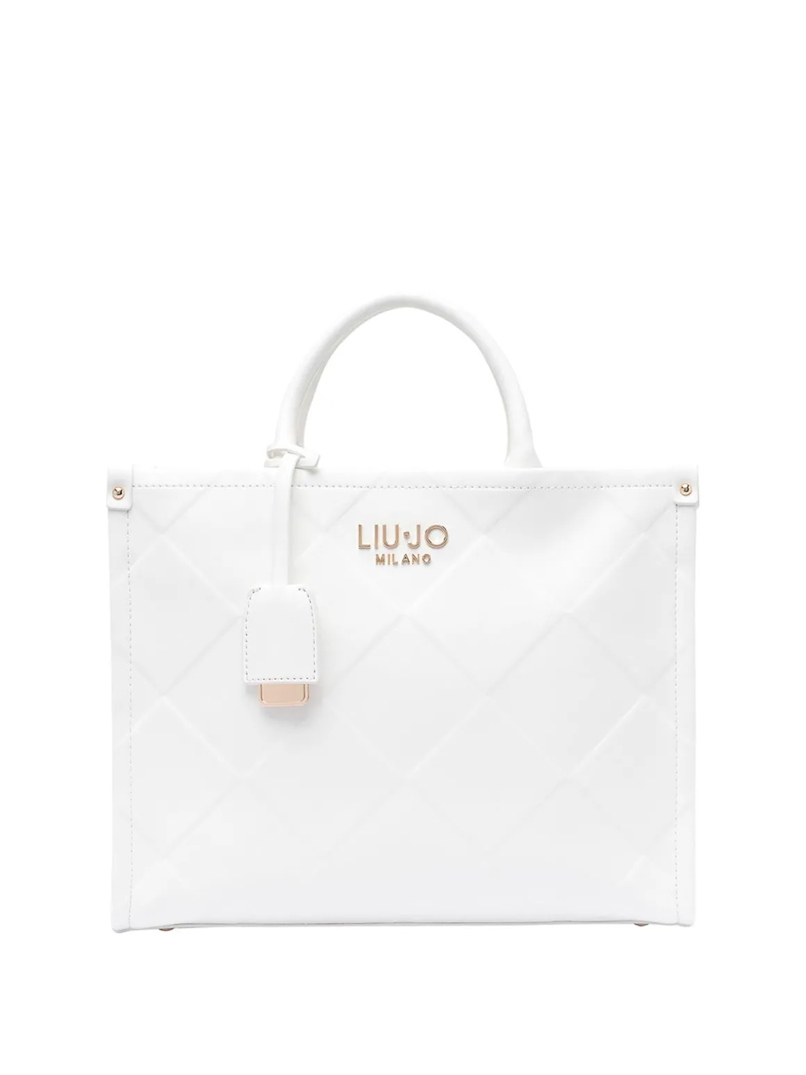 Borsa logata