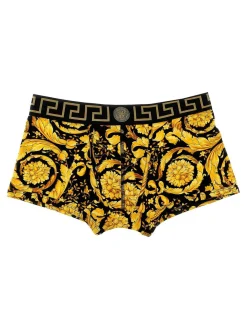 Boxer a barocco