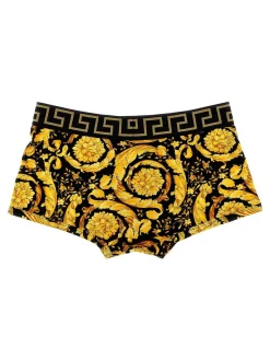 Boxer a barocco