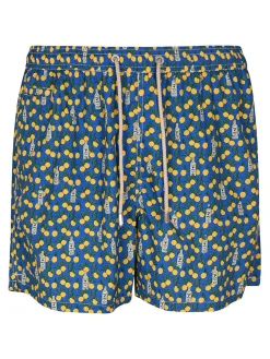 Boxer logati