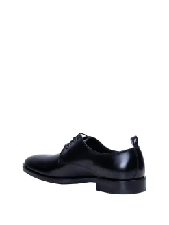 Bureau derby lace