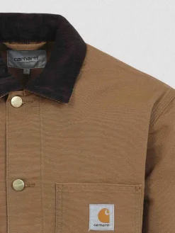 Cappotto del Michigan