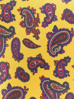 Cravatta di stampa paisley