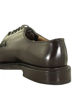 Derby Shannon in pelle spazzolata marrone