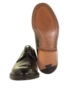 Derby Shannon in pelle spazzolata marrone