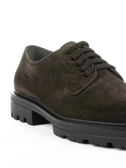 Derby Stringata H673 In Pelle Scamosciata