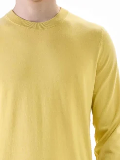 Maglia Cotone Leggero