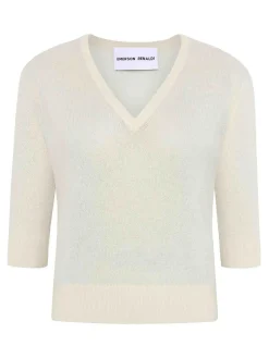 Maglione profondo del scollo a V.