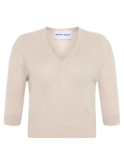 Maglione profondo del scollo a V.