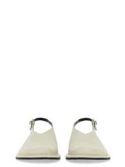 Mule Paley