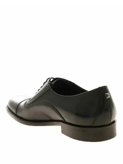Oxford Urano II nere