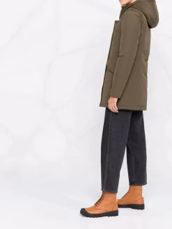 Parka artico