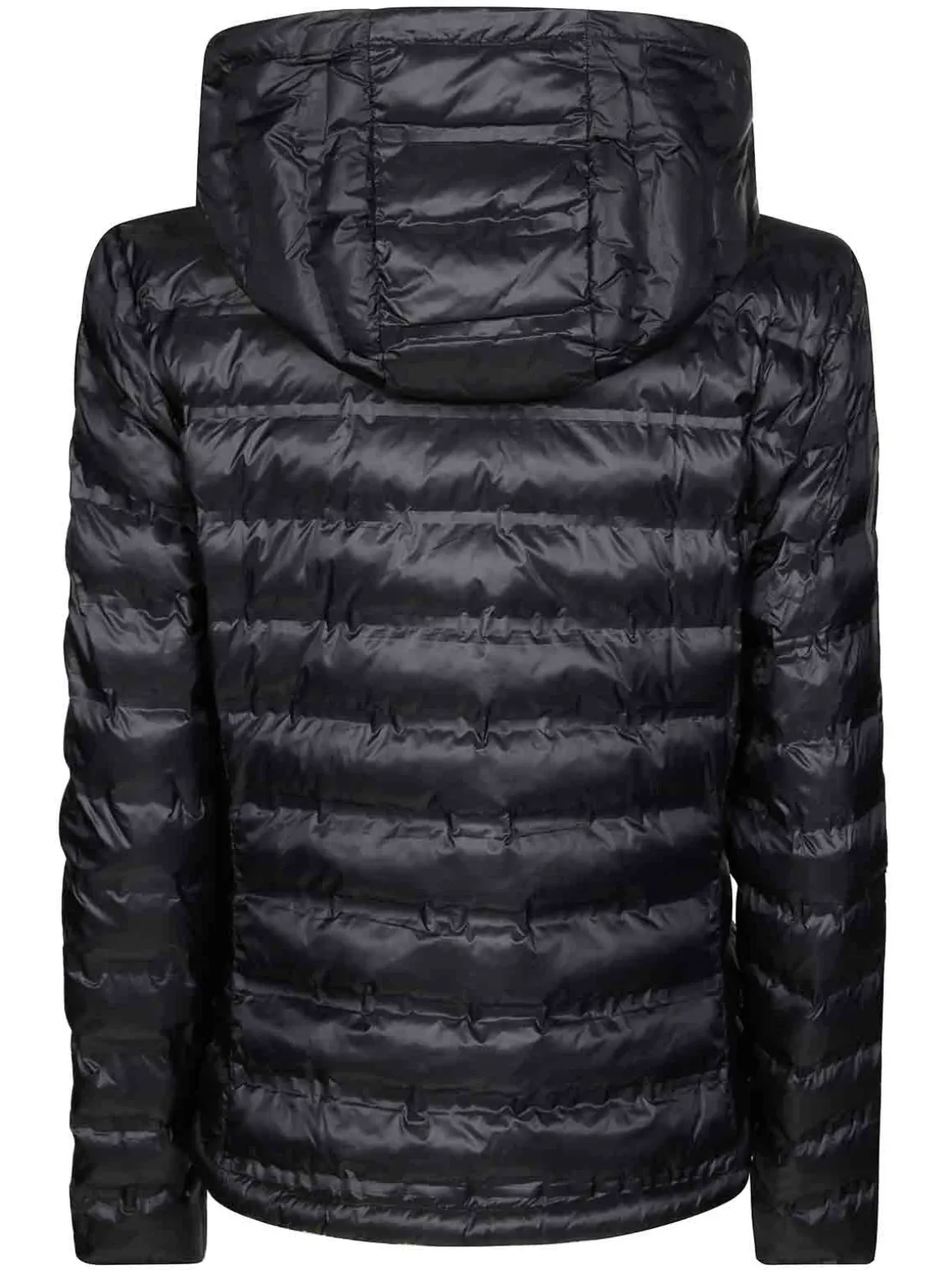 Parka Ellis