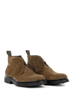 Polacco in camoscio Marrone