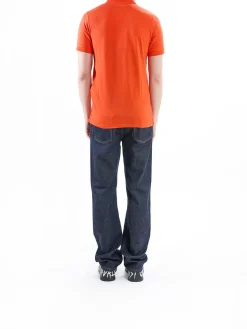 Polo nft