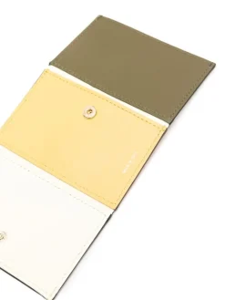 Portafoglio uomo a fisarmonica porta carte