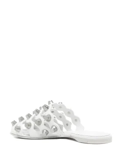 Rexa Cage Slides