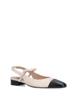 Sabot