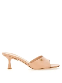 Sabot Ascent