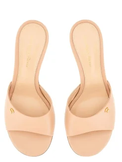 Sabot Ascent