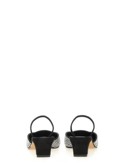 Scarpa Roosevelt