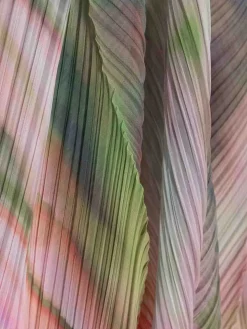 Stola con stampa