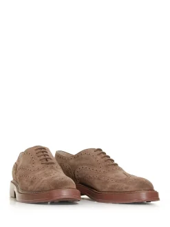 Tods Francesina Coda Di Rondine In Suede