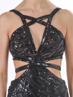 Vestito di tigre in pizzo lungo